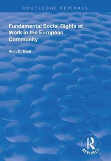 Book cover of: Fundamental Social Rights at Work in the European Community