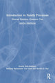 Book cover of: Introduction to Family Processes. By: Denise Ann Bodman