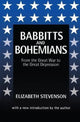 Book cover of: Babbitts and Bohemians from the Great War to the Great Depression. By: Elizabeth Stevenson