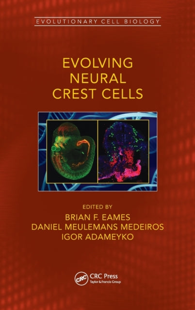 Book cover of: Evolving Neural Crest Cells. By: Daniel Meulemans Medeiros