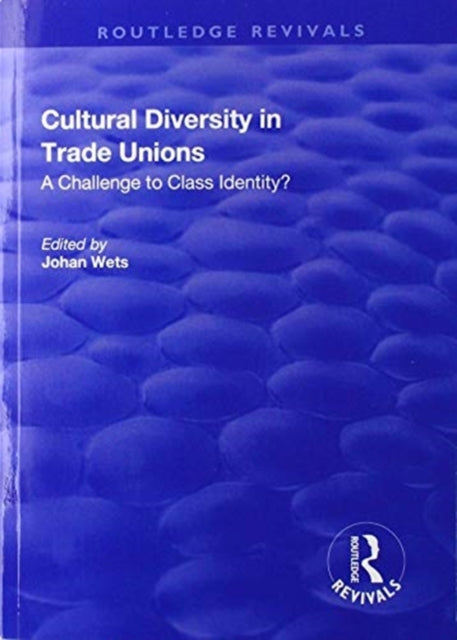 Book cover of: Cultural Diversity in Trade Unions. By: Johan Wets