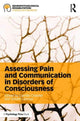 Book cover of: Assessing Pain and Communication in Disorders of Consciousness. By: Camille Chatelle