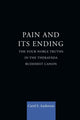 Book cover of: Pain and Its Ending. By: Carol Anderson