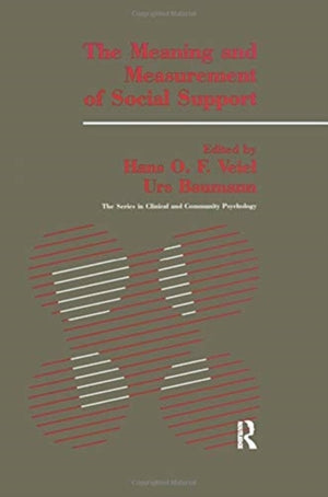 The Meaning And Measurement Of Support