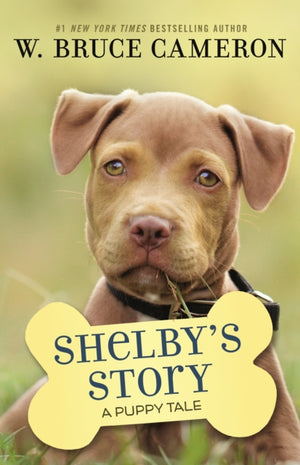 A Shelby's Story