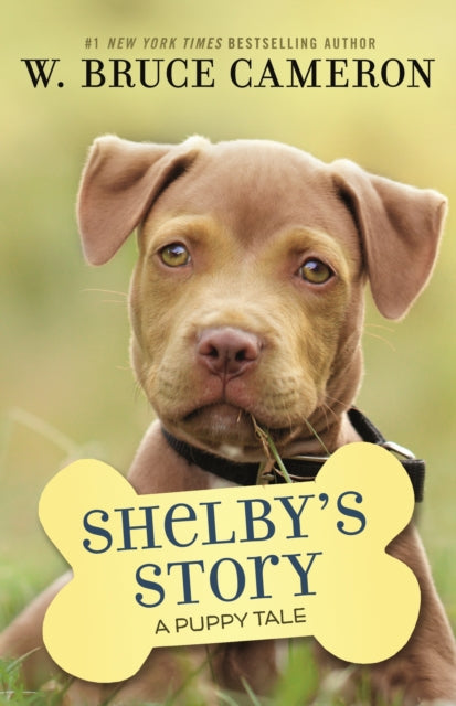 A Shelby's Story
