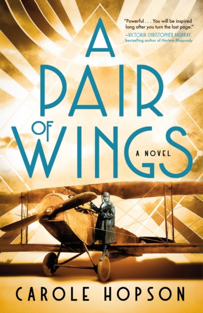Book cover of: Pair of Wings