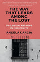 Book cover of: Way That Leads Among the Lost