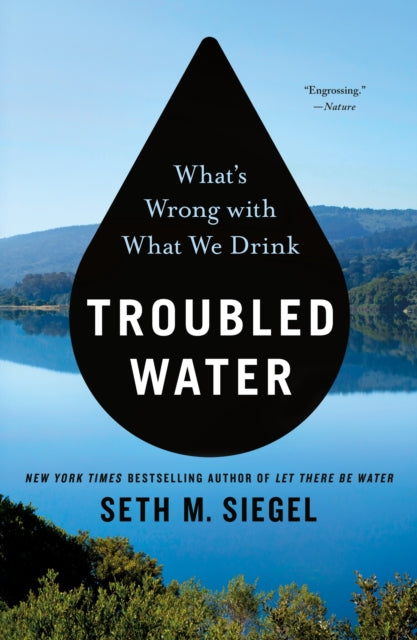 Book cover of: Troubled Water. By: Seth M. Siegel