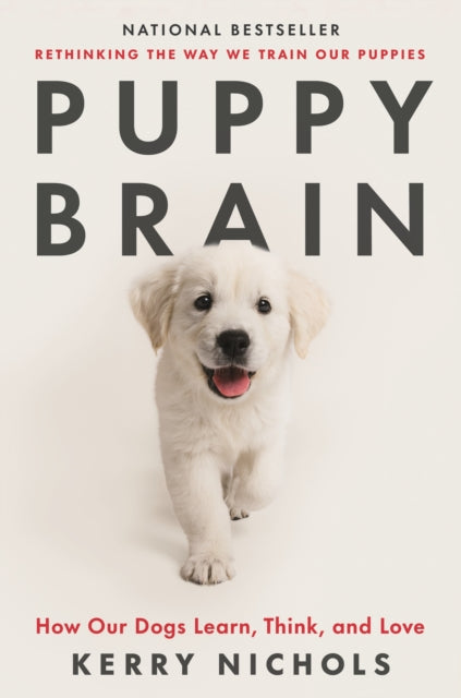Book cover of: Puppy Brain