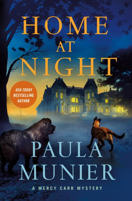 Book cover of: Home at Night. By: Paula Munier