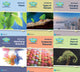 Book cover of: Science Bug International Year 1 Workbook Pack. By: Deborah Herridge