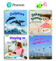 Book cover of: Learn to Read at Home with Bug Club Phonics: Phase 5 - Year 1, Terms 1 and 2 (4 non-fiction books) Pack B. By: Fiona Undrill