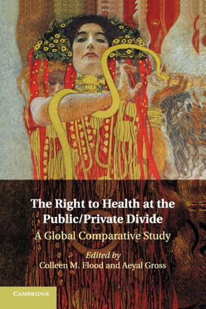The Right to Health at the Public/Private Divide
