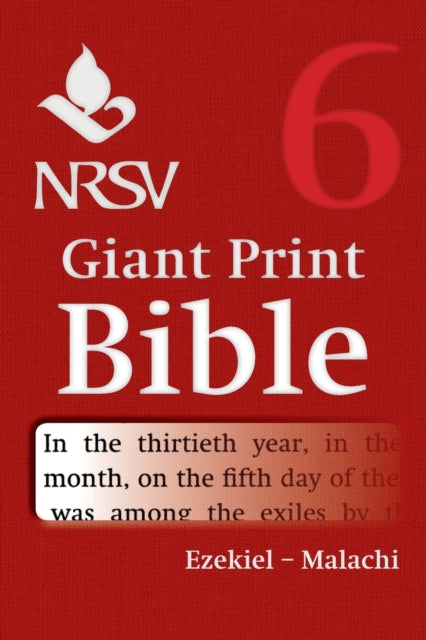 Book cover of: NRSV Giant Print Bible: Volume 6, Ezekiel – Malachi