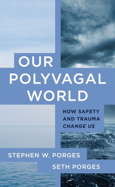 Our Polyvagal World, How Safety and Trauma Change Us 9781324030256 Seth Porges