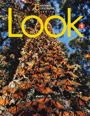 Look 1 (British English)