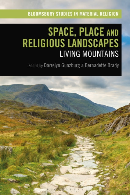 Book cover of: Space, Place and Religious Landscapes. By: Darrelyn Gunzburg
