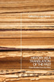 Book cover of: History as a Translation of the Past. By: Luigi Alonzi