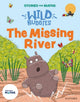 Stories for Maths: EYFS: The Missing River (Explore 3-D shapes) 9781382057851 Pauline Gregory