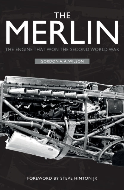Book cover of: Merlin. By: Gordon A. A. Wilson