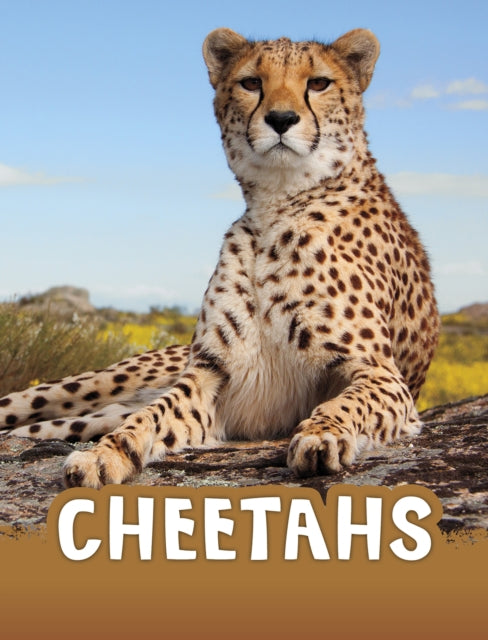 Book cover of: Cheetahs. By: Jaclyn Jaycox