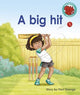 Book cover of: big hit. By: Paul George