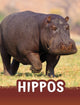 Book cover of: Hippos. By: Jaclyn Jaycox