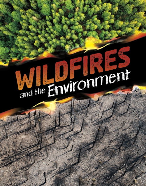 Book cover of: Wildfires and the Environment. By: Marcia Amidon Lusted