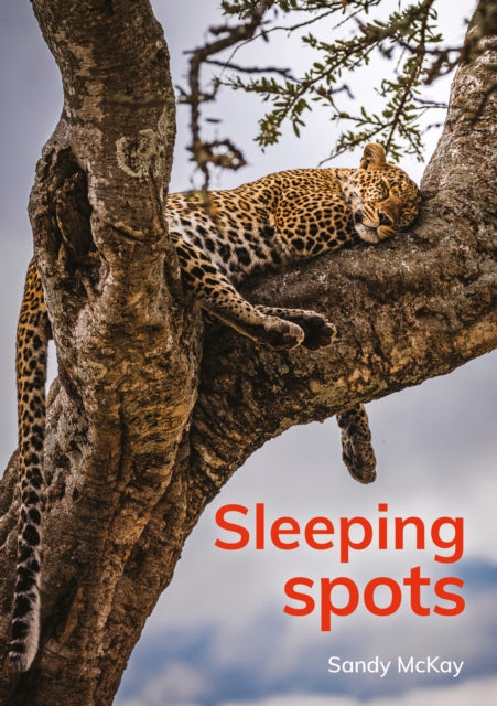 Book cover of: Sleeping spots. By: Sandy McKay