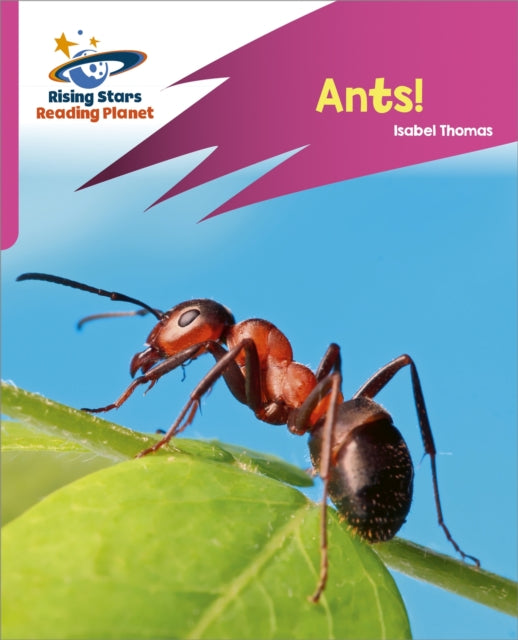 Book cover of: Reading Planet: Rocket Phonics – Target Practice – Ants! – Pink A. By: Isabel Thomas