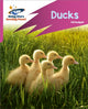 Book cover of: Reading Planet: Rocket Phonics – Target Practice – Ducks – Pink B. By: Abigail Steel