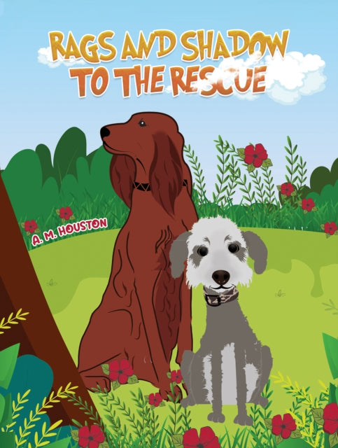 Book cover of: Rags and Shadow to the Rescue