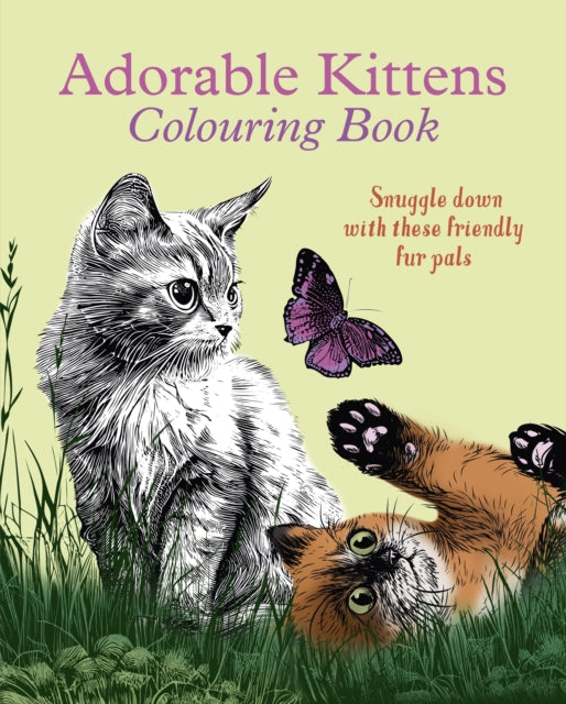 Book cover of: Adorable Kittens Colouring Book