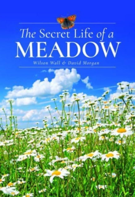 Book cover of: Secret Life of a Meadow. By: Wilson Wall
