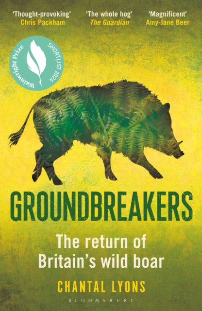 Book cover of: Groundbreakers