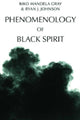 Book cover of: Phenomenology of Black Spirit. By: Biko Mandela Gray