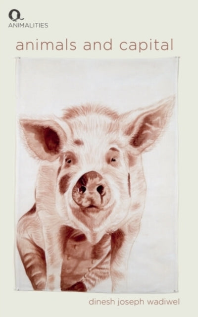 Book cover of: Animals and Capital