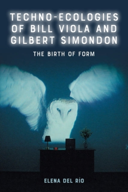Book cover of: Techno-Ecologies of Bill Viola and Gilbert Simondon