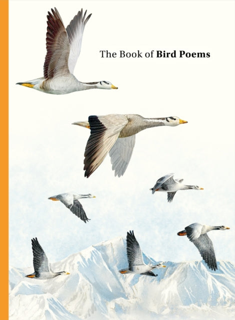 Book cover of: Book of Bird Poems. By: Ana Sampson