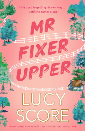 Mr Fixer Upper, the new romance from the 2023 bestselling Tiktok sensation!