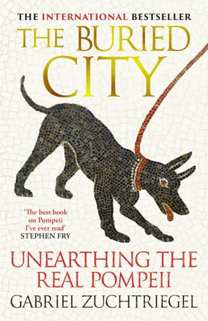 The Buried City
