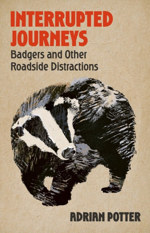 Interrupted Journeys, Badgers and Other Roadside Distractions