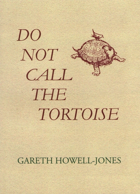 Book cover of: Do Not Call the Tortoise