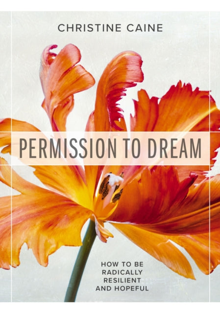 Book cover of: Permission to Dream. By: Christine Caine