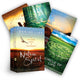 Book cover of: Native Spirit Oracle Cards. By: Denise Linn