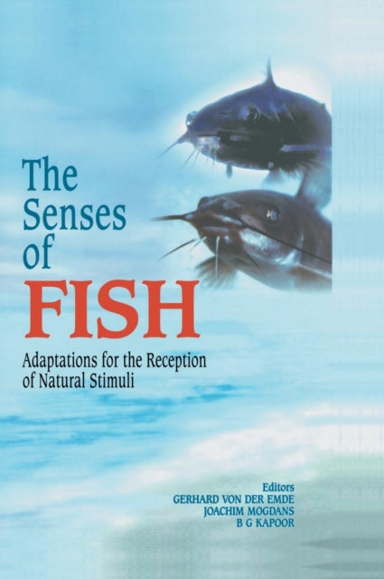 Book cover of: Senses of Fish