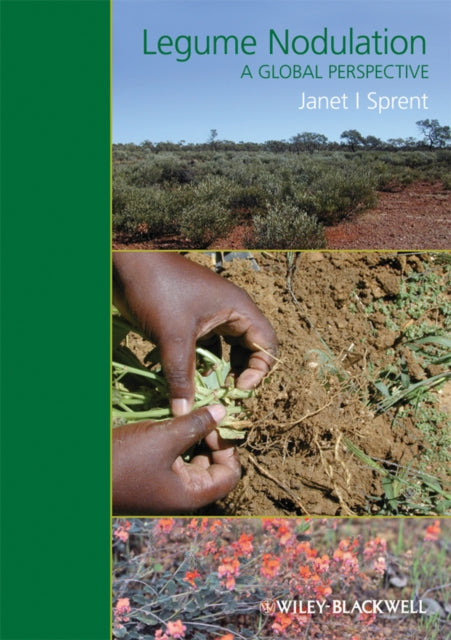 Book cover of: Legume Nodulation. By: Janet I. Sprent