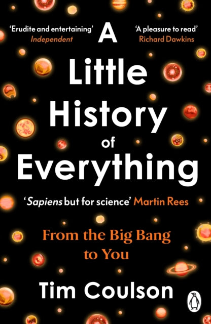 Little History of Everything, From the Big Bang to You