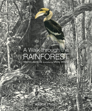 Walk Through the Rainforest